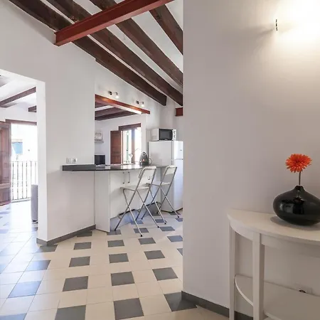 Apartment Boss - Turismo De Interior Palma